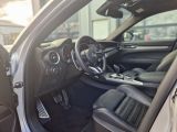 Alfa Romeo Stelvio bei Sportwagen.expert - Abbildung (14 / 15)