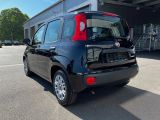 Fiat Panda bei Sportwagen.expert - Abbildung (3 / 13)