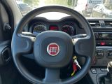 Fiat Panda bei Sportwagen.expert - Abbildung (11 / 13)