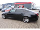 Jaguar XJ bei Sportwagen.expert - Abbildung (4 / 15)