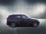 BMW X5 bei Sportwagen.expert - Abbildung (4 / 14)