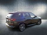 BMW X5 bei Sportwagen.expert - Abbildung (2 / 14)