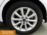 Ford C-MAX bei Sportwagen.expert - Abbildung (7 / 15)