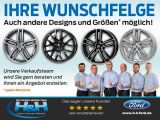 Ford B-MAX bei Sportwagen.expert - Abbildung (9 / 15)