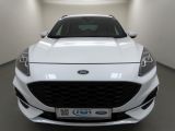 Ford Kuga bei Sportwagen.expert - Abbildung (6 / 15)