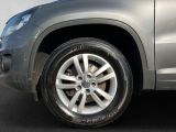 VW Tiguan bei Sportwagen.expert - Abbildung (5 / 15)