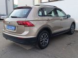 VW Tiguan bei Sportwagen.expert - Abbildung (3 / 15)