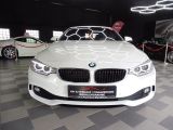 BMW 4er bei Sportwagen.expert - Abbildung (3 / 15)