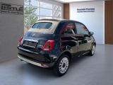 Fiat 500 C bei Sportwagen.expert - Abbildung (3 / 14)