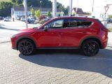 Mazda CX 5 bei Sportwagen.expert - Abbildung (9 / 14)