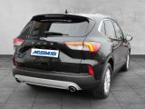 Ford Kuga bei Sportwagen.expert - Abbildung (3 / 15)