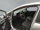 Ford Fiesta bei Sportwagen.expert - Abbildung (7 / 15)