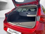 Seat Leon bei Sportwagen.expert - Abbildung (5 / 12)