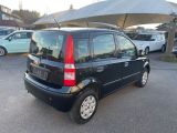 Fiat Panda bei Sportwagen.expert - Abbildung (6 / 15)