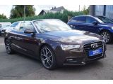 Audi A5 Cabriolet bei Sportwagen.expert - Abbildung (3 / 15)