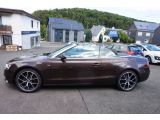 Audi A5 Cabriolet bei Sportwagen.expert - Abbildung (5 / 15)
