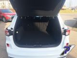 Ford Kuga bei Sportwagen.expert - Abbildung (11 / 15) Ford Kuga bei Sportwagen.expert - Abbildung (11 / 15)