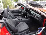 Ford Mustang bei Sportwagen.expert - Abbildung (14 / 15)