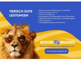Opel Astra bei Sportwagen.expert - Abbildung (14 / 14)