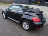 VW Beetle bei Sportwagen.expert - Abbildung (3 / 15)