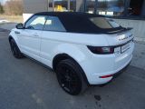 Land Rover Range Rover Evoque bei Sportwagen.expert - Abbildung (4 / 15)