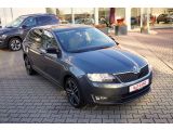 Skoda Rapid bei Sportwagen.expert - Abbildung (4 / 15)