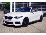 BMW M240 bei Sportwagen.expert - Abbildung (2 / 15)