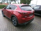 Mazda CX 5 bei Sportwagen.expert - Abbildung (4 / 15)