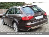 Audi A4 Allroad Quattro bei Sportwagen.expert - Abbildung (7 / 15)