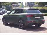 Audi SQ5 bei Sportwagen.expert - Abbildung (3 / 15)
