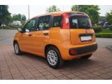 Fiat Panda bei Sportwagen.expert - Abbildung (3 / 15)