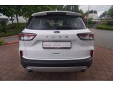 Ford Kuga bei Sportwagen.expert - Abbildung (4 / 15)