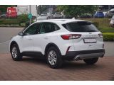 Ford Kuga bei Sportwagen.expert - Abbildung (3 / 15)