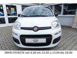Fiat Panda bei Sportwagen.expert - Abbildung (7 / 15)