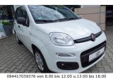 Fiat Panda bei Sportwagen.expert - Abbildung (8 / 15)