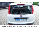 Fiat Panda bei Sportwagen.expert - Abbildung (4 / 15)