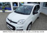 Fiat Panda bei Sportwagen.expert - Abbildung (6 / 15)