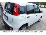 Fiat Panda bei Sportwagen.expert - Abbildung (2 / 15)