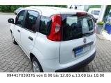 Fiat Panda bei Sportwagen.expert - Abbildung (3 / 15)