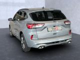 Ford Kuga bei Sportwagen.expert - Abbildung (3 / 15)