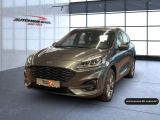 Ford Kuga bei Sportwagen.expert - Abbildung (2 / 15)