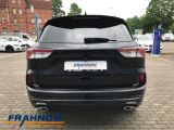 Ford Kuga bei Sportwagen.expert - Abbildung (5 / 15)