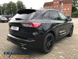 Ford Kuga bei Sportwagen.expert - Abbildung (4 / 15)