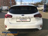 Ford Focus bei Sportwagen.expert - Abbildung (5 / 15)