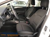 Ford Focus bei Sportwagen.expert - Abbildung (9 / 15)