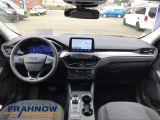 Ford Kuga bei Sportwagen.expert - Abbildung (12 / 15)