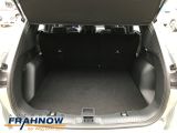 Ford Kuga bei Sportwagen.expert - Abbildung (11 / 15)