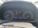 Ford EcoSport bei Sportwagen.expert - Abbildung (8 / 15)
