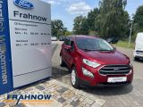 Ford EcoSport bei Sportwagen.expert - Abbildung (2 / 15)