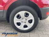 Ford EcoSport bei Sportwagen.expert - Abbildung (5 / 15)